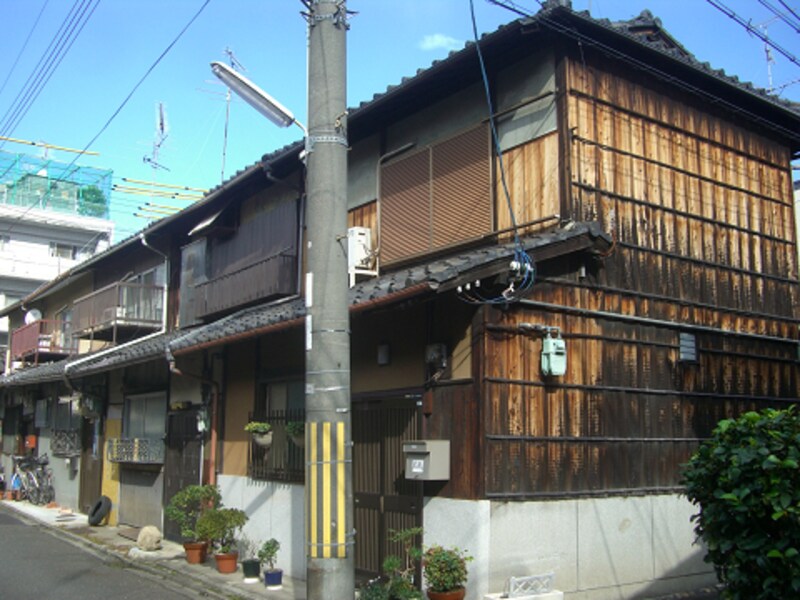 壁が木