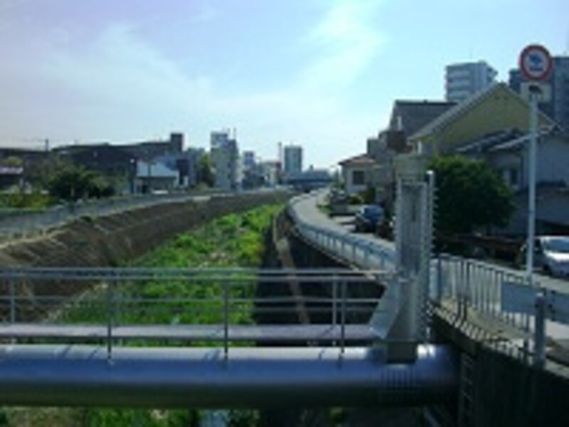 川沿いはのほほんとしか雰囲気