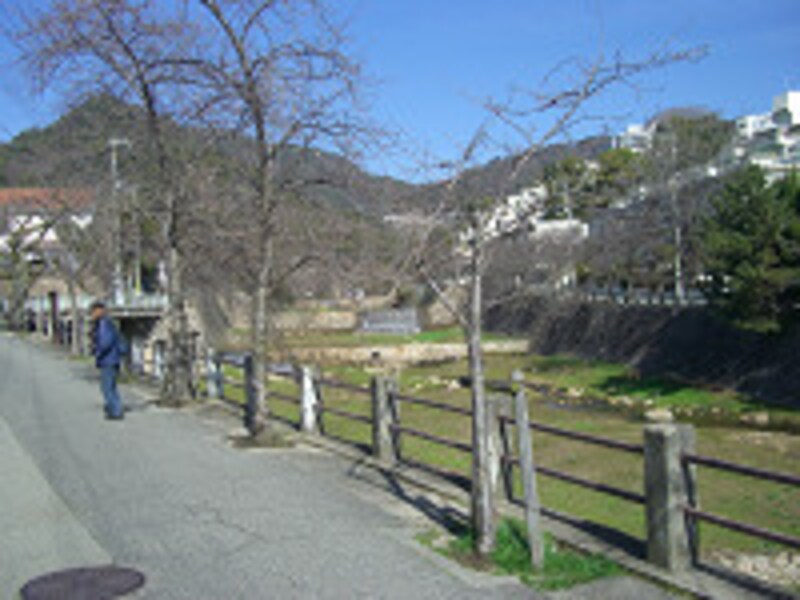 芦屋川が綺麗
