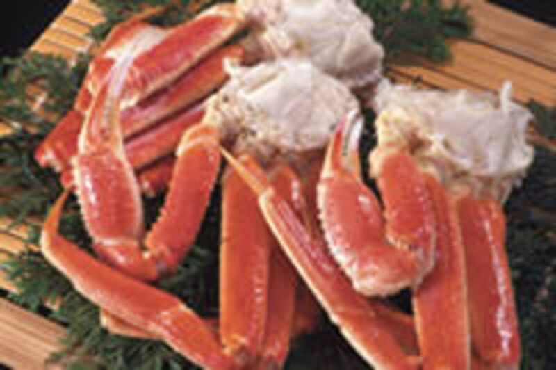 どんな訳ありなら許せる?