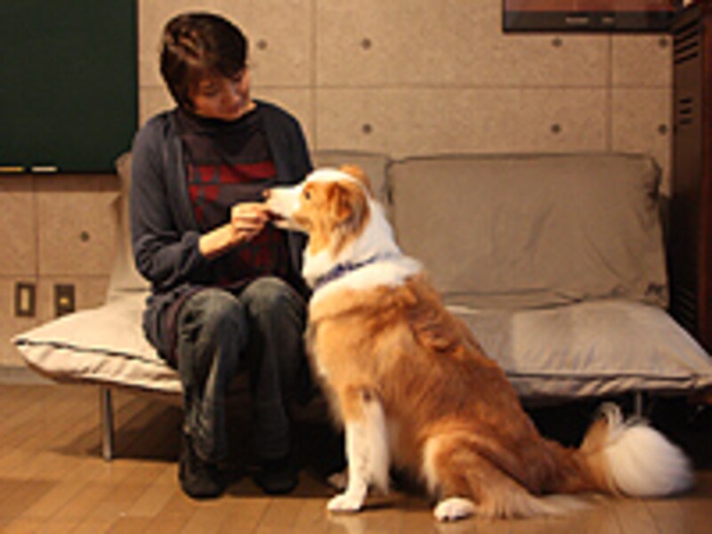 タイミングよくご褒美を与えて、「座る」行動を強化