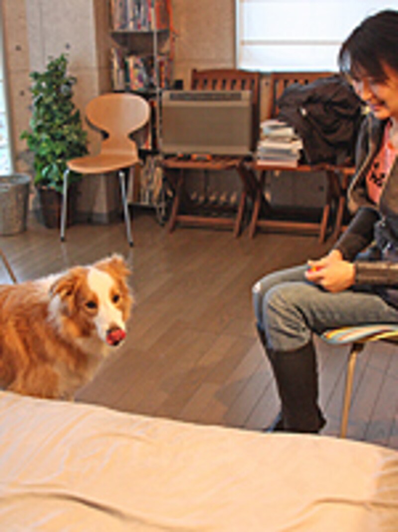 ベッドのほうを見る