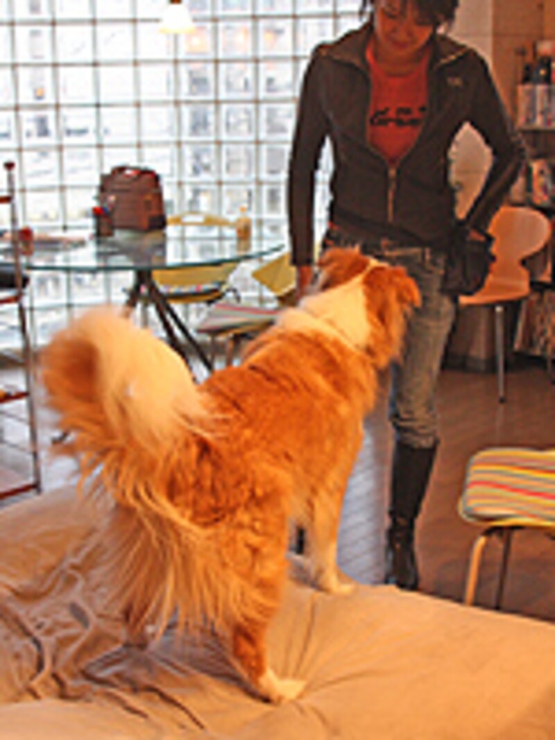 ベッドに4本の足が乗る