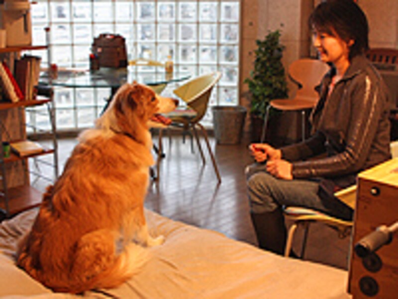 ベッドの上に座る