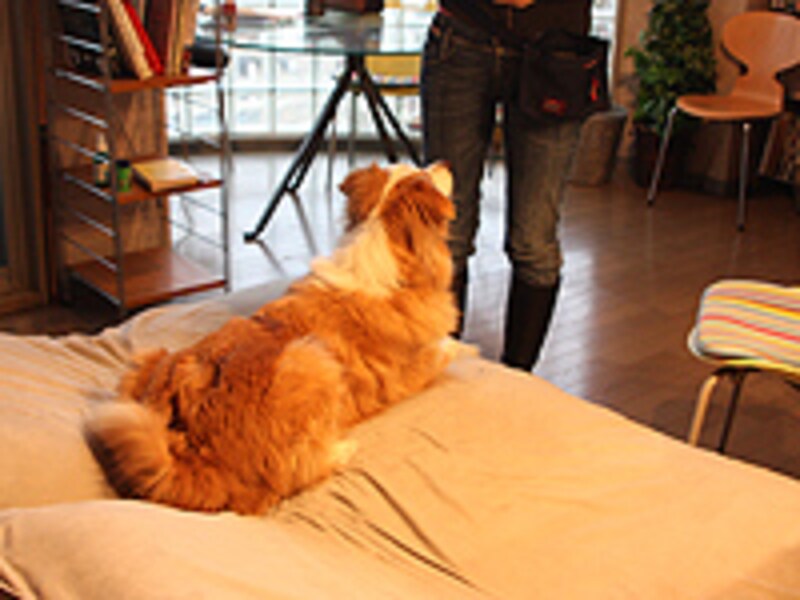 ベッドの上で伏せる