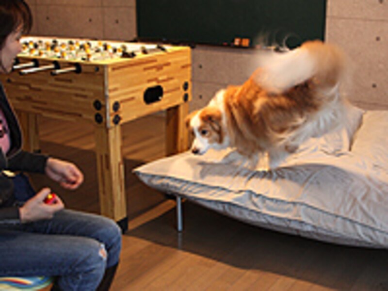 ベッドへ行って座る