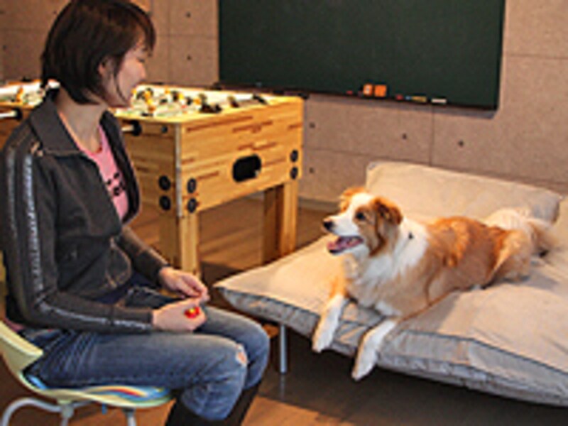 ベッドの上でくつろぐ