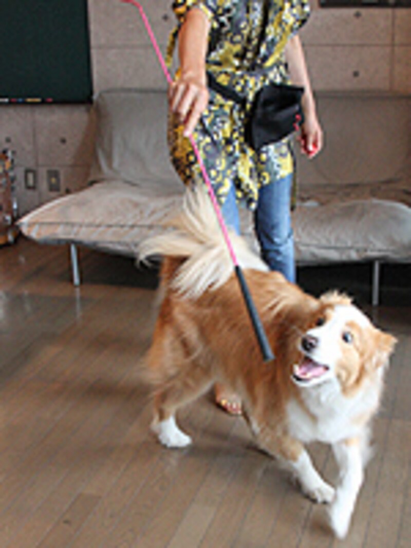 ターゲットの先端を追い続けるマーロン君