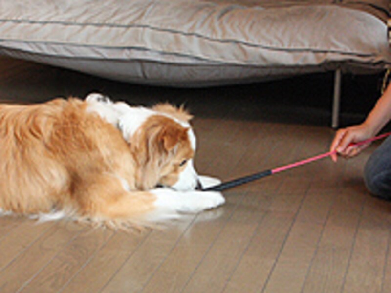 ターゲットの先端を追ってダウンのポジションに