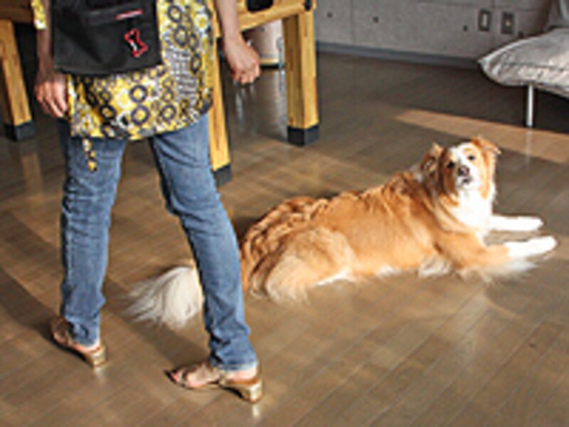 ダウンの姿勢を保ったままじっと我慢のマーロン君