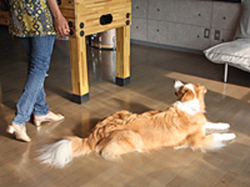 いろんなシチュエーションを工夫