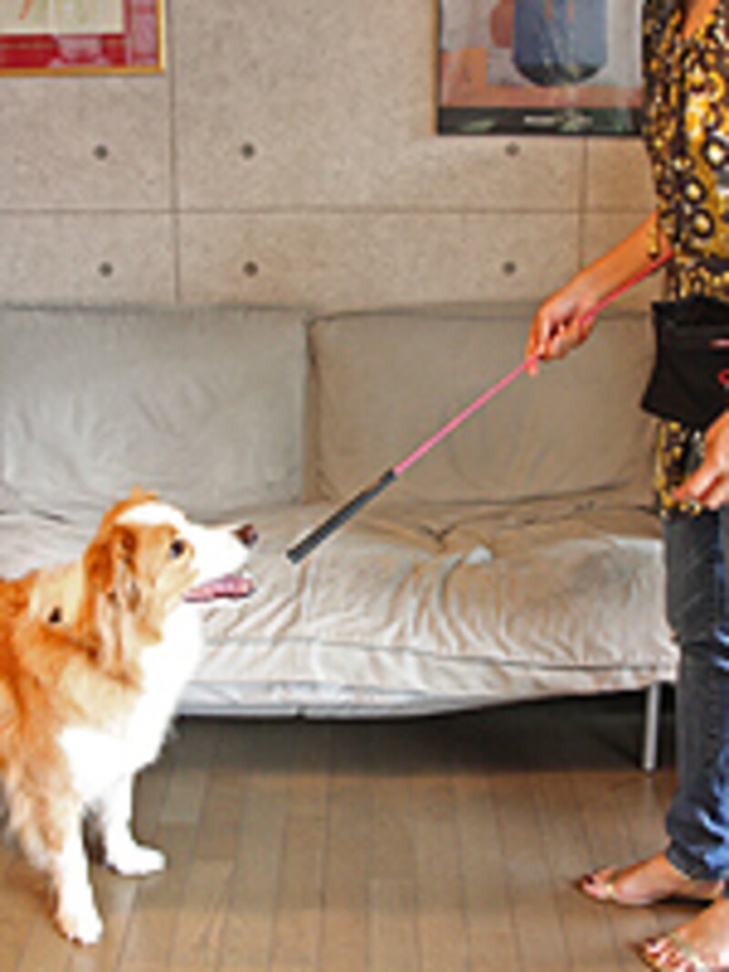 ターゲットスティックを徐々にフェイドアウト