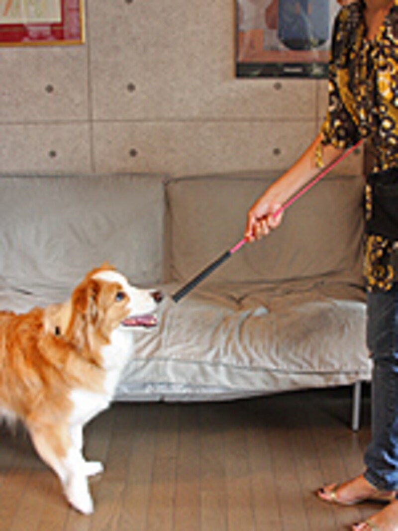 手で持つところを少しずつ先端へ