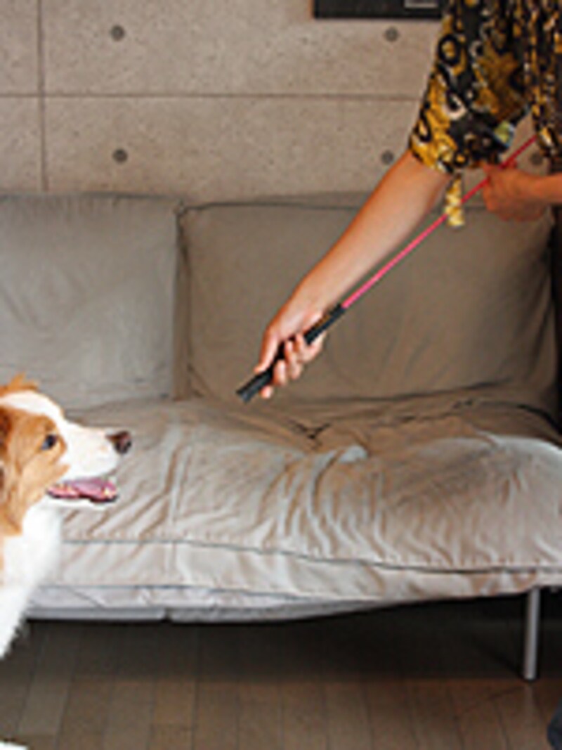 最終的に先端を手で隠すようにしてフェイドアウトしていく