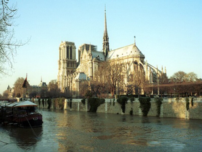 ノートルダム