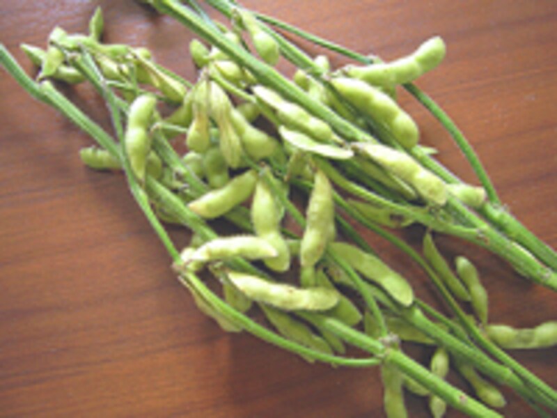 よい枝豆の選び方