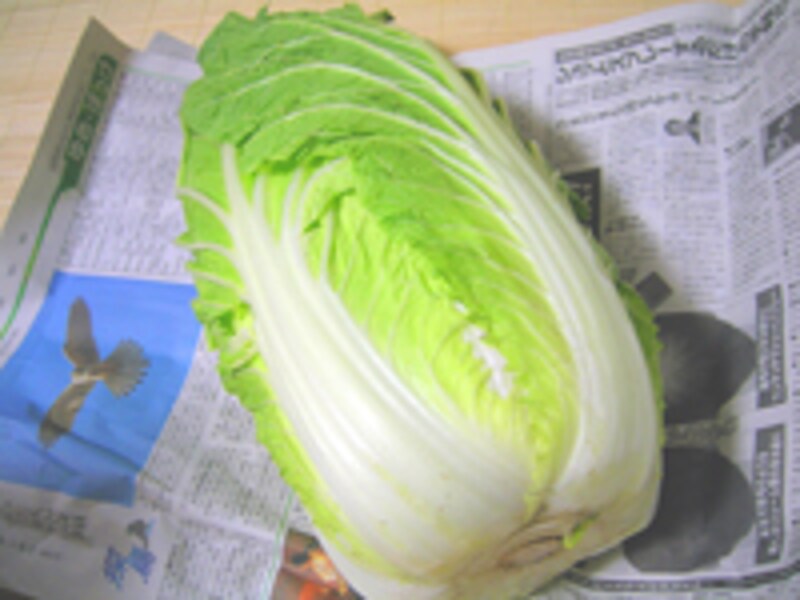 白菜の保存