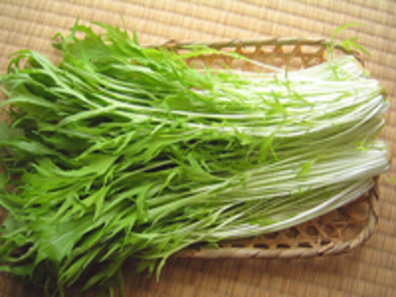 よい水菜の選び方