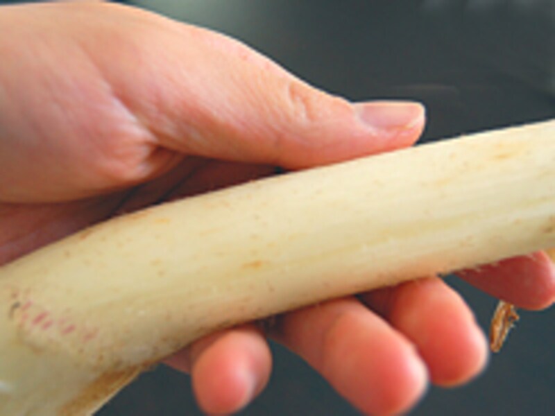 うどの選び方。