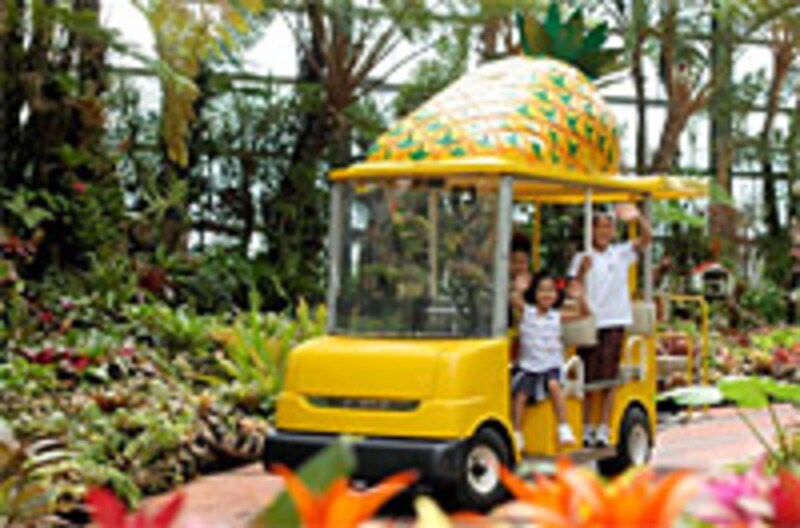 ナゴパイナップルパークの「パイナップル号」