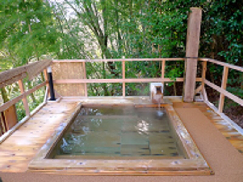 楽遊壽林自然館