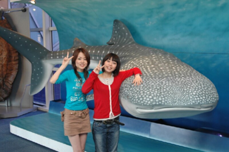 海遊館の記念撮影コーナー