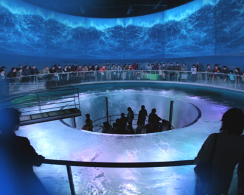 城崎マリンワールドのダイブアドベンチャー