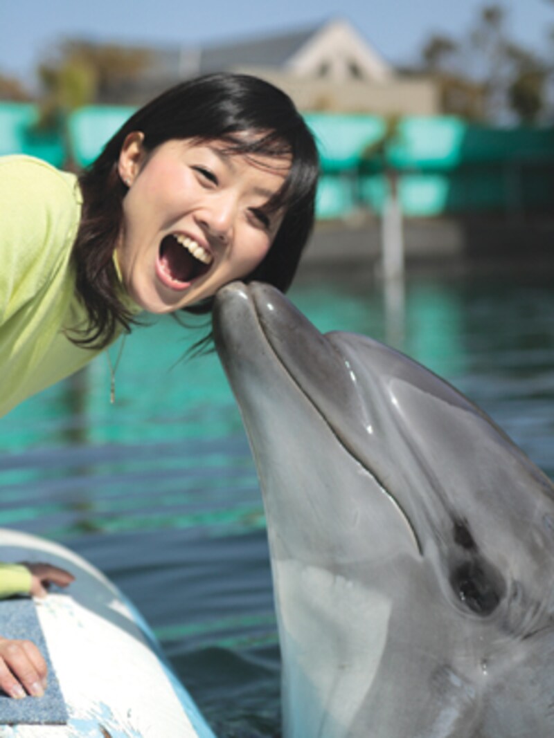 天草いるかワールド