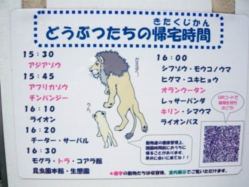 動物の帰宅時間