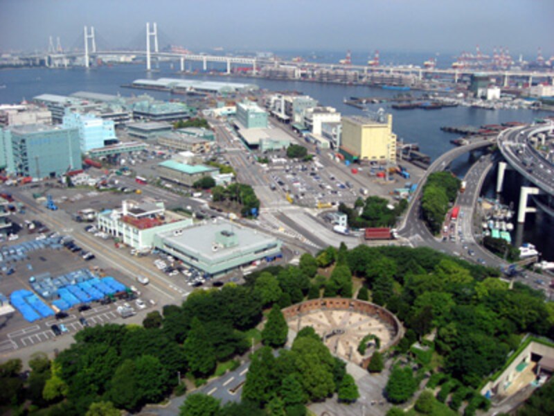 横浜マリンタワー 30階 展望フロアから見えるベイブリッジ