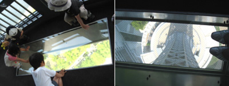 横浜マリンタワー29階展望フロアにあるガラスの床