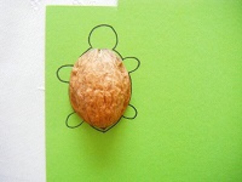 木の実カメ手順1