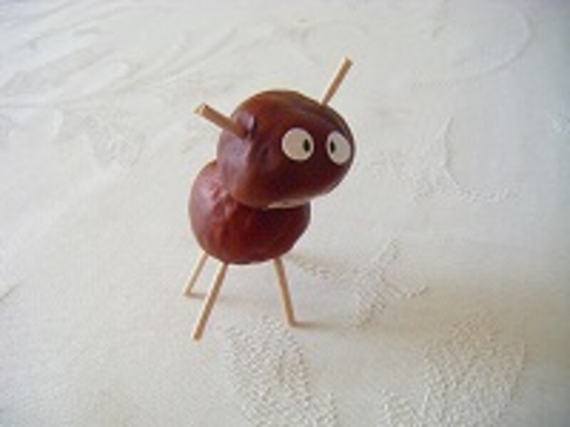 木の実クリ手順3