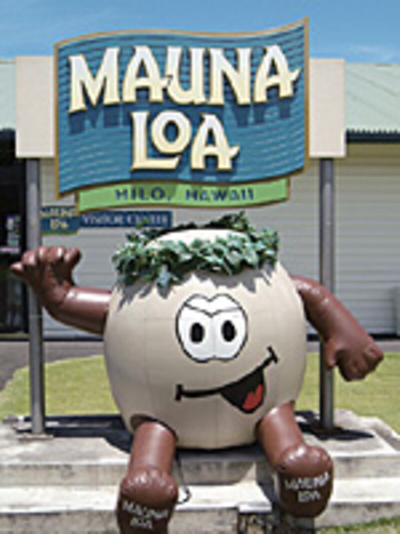 ハワイ島ヒロ