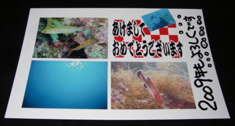 デジカメ年賀状