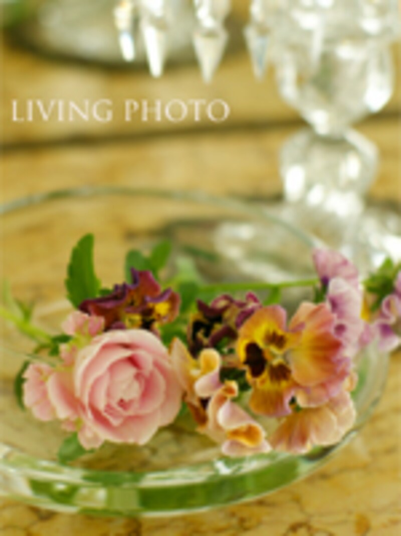 今道先生の作品