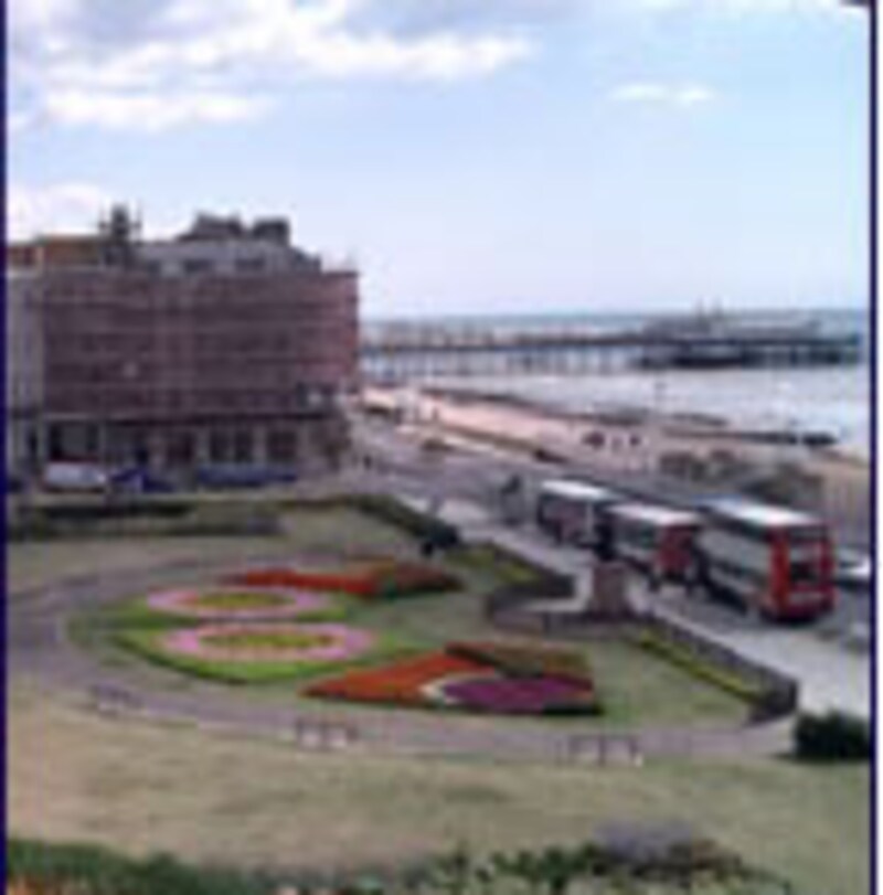 イギリス留学、ヘイスティング