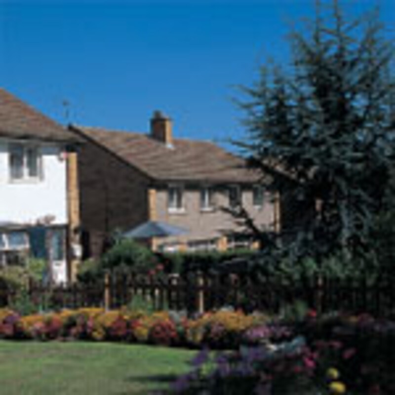 イギリス留学、ホームステイ