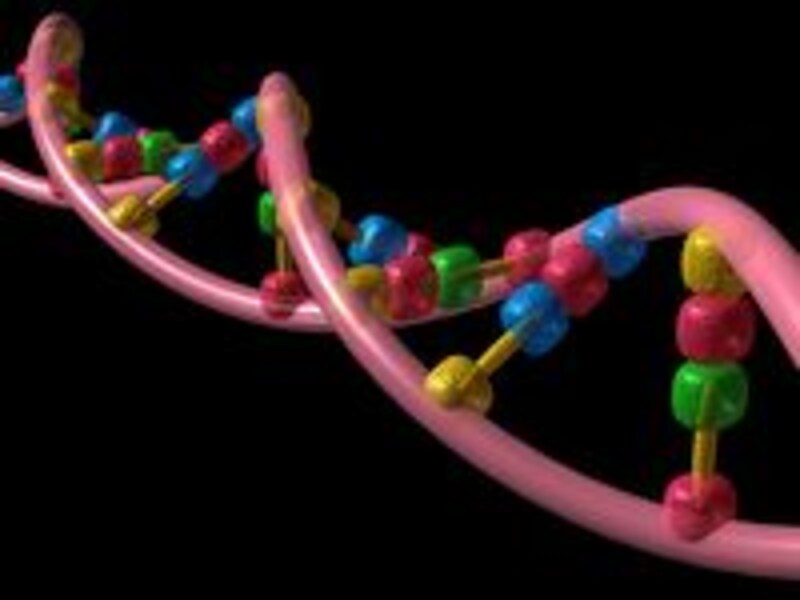 画像の代替テキスト