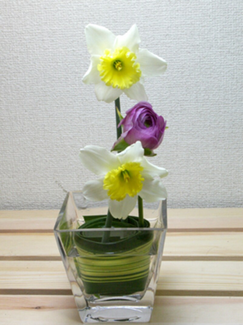 スイセンを活ける