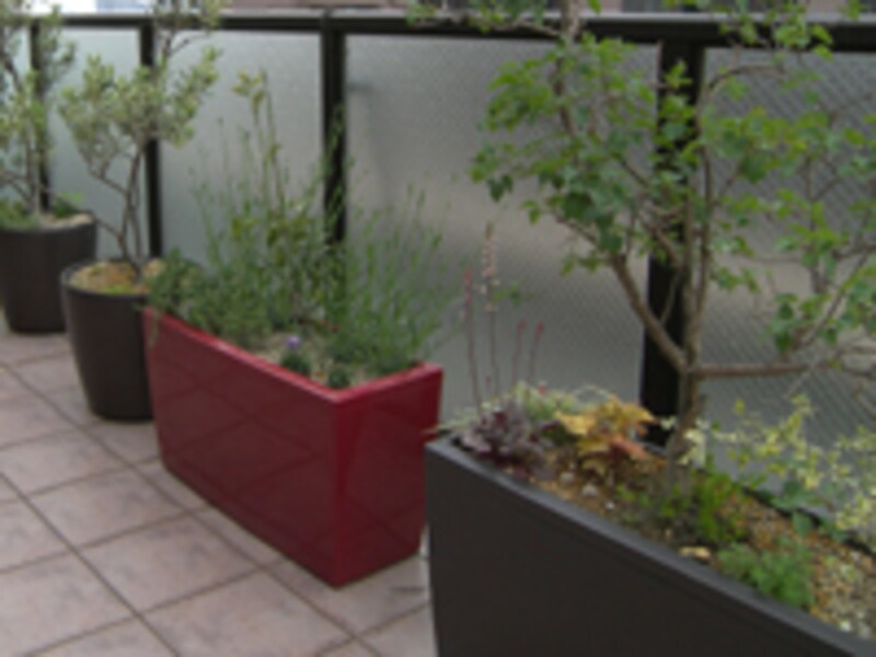 底面潅水装置つきの鉢