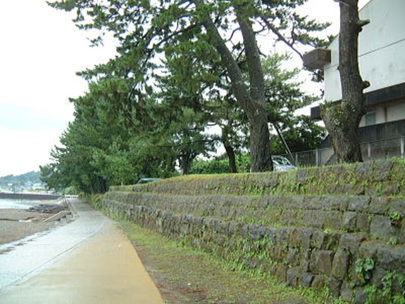 今和泉島津家別邸跡の石垣と松林(隼人松原)