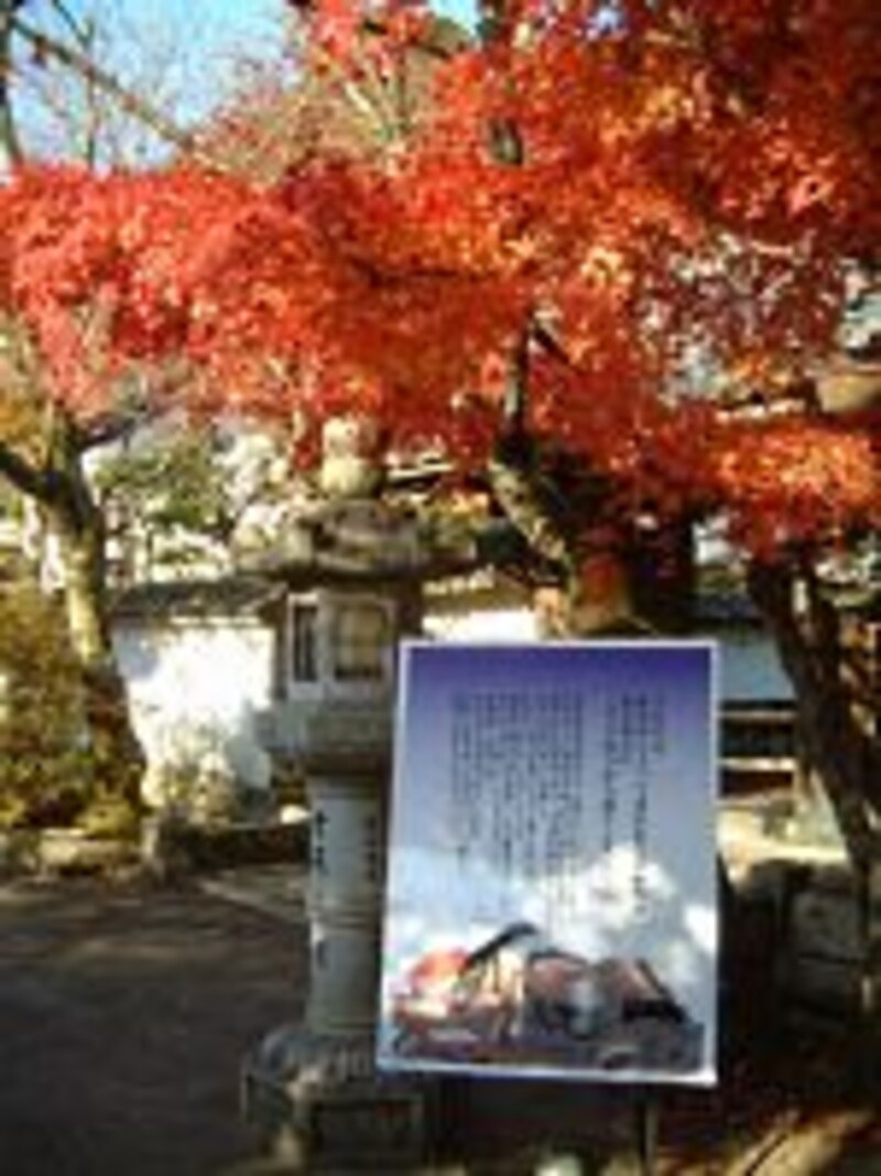 石山寺(7)/源氏物語生誕の地であることを説明するポスター