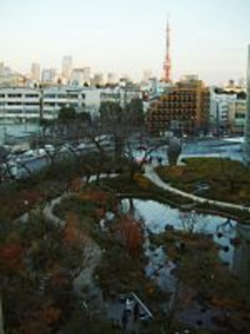 東京タワーを眺める（7）／六本木ヒルズより毛利庭園と共に