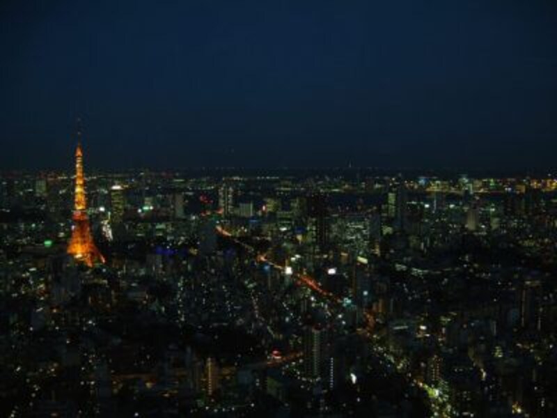 東京タワーを眺める（13）／東京シティビューより