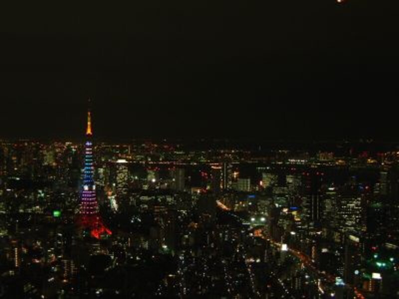 東京タワーを眺める（14）／ダイヤモンドヴェール・スペシャルレインボー