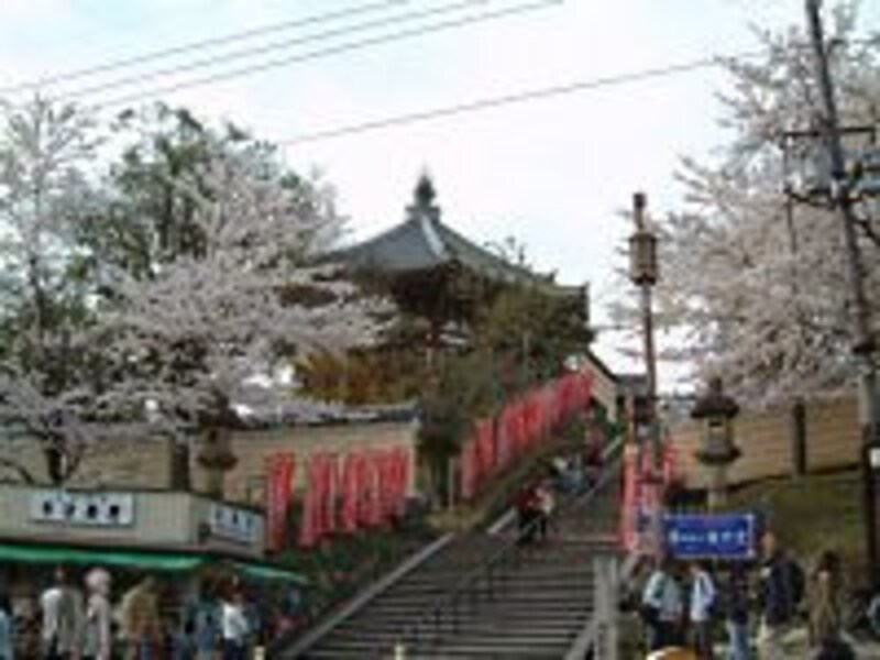 興福寺・南円堂と桜