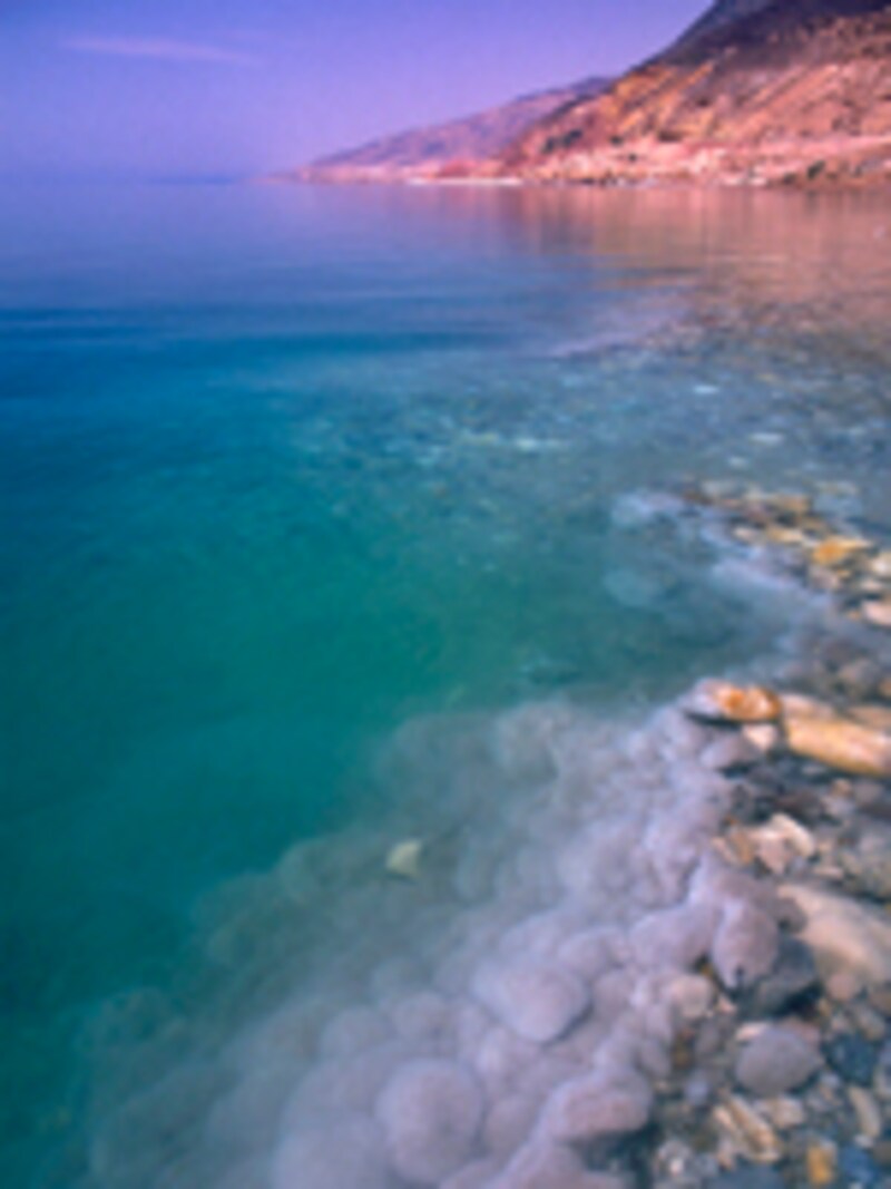 死海東岸
