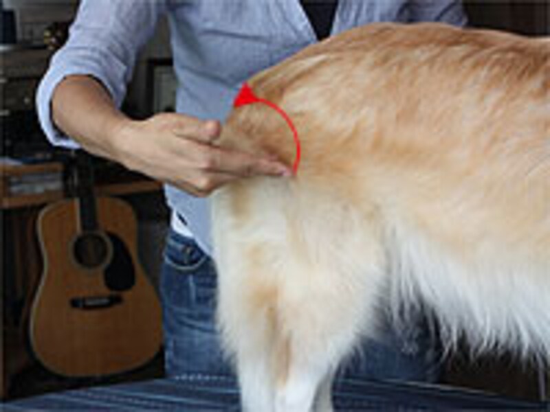 空気の層をかき上げるような感じで