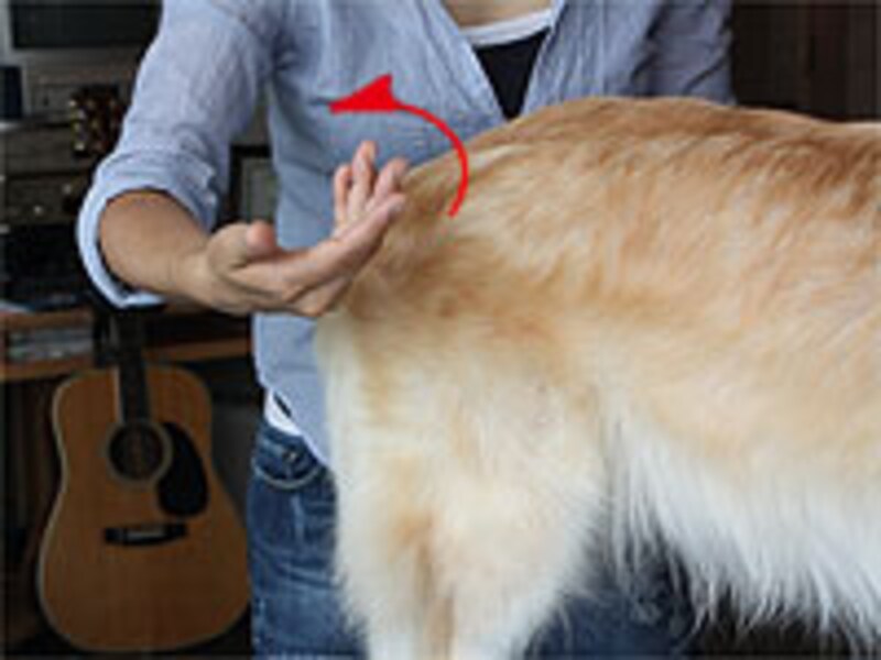 足元から空気中に放つようなイメージ